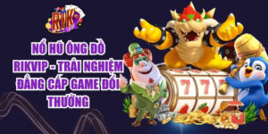 No Hu Ong Do Rikvip